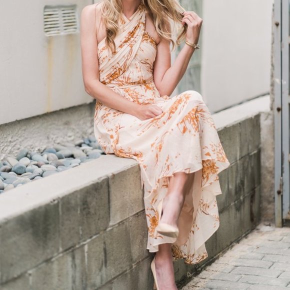 SOLD -JOIE ARNEY SILK FLORAL HALTER MIDI DRESS NWT - Picture 5 of 9